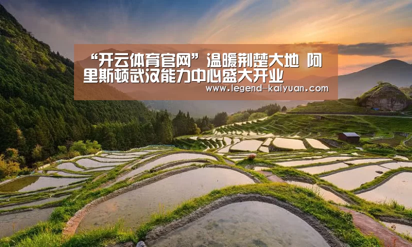 “开云体育官网”温暖荆楚大地 阿里斯顿武汉能力中心盛大开业(图2) 开云体育App