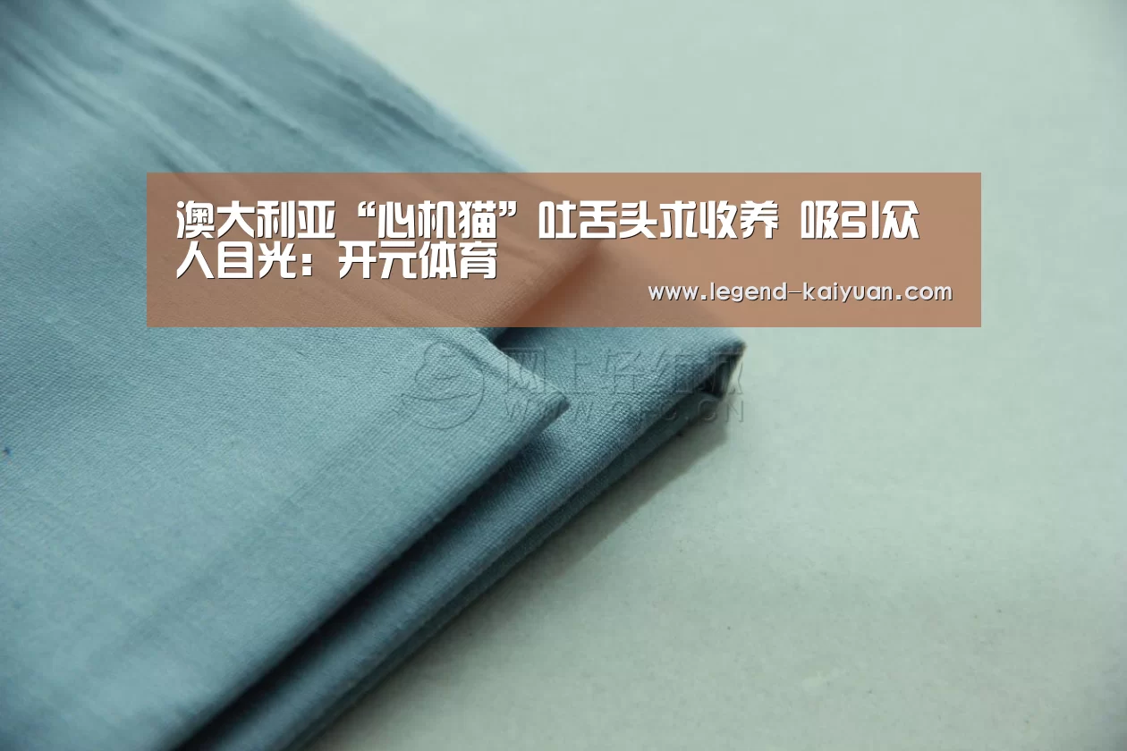 澳大利亚“心机猫”吐舌头求收养 吸引众人目光:开元体育(图1) 开云体育网站