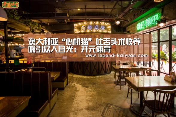 澳大利亚“心机猫”吐舌头求收养 吸引众人目光:开元体育(图2) 开元体育