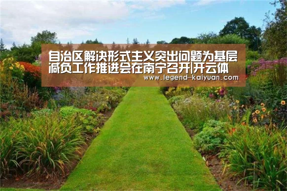 自治区解决形式主义突出问题为基层减负工作推进会在南宁召开|开云体育App(图2) 开云体育官网