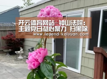 开云体育网站-钟山法院:主题党日凝心聚力 扫黑除恶全党参与(图2) 开云体育App