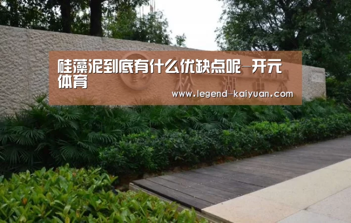 开云体育官网