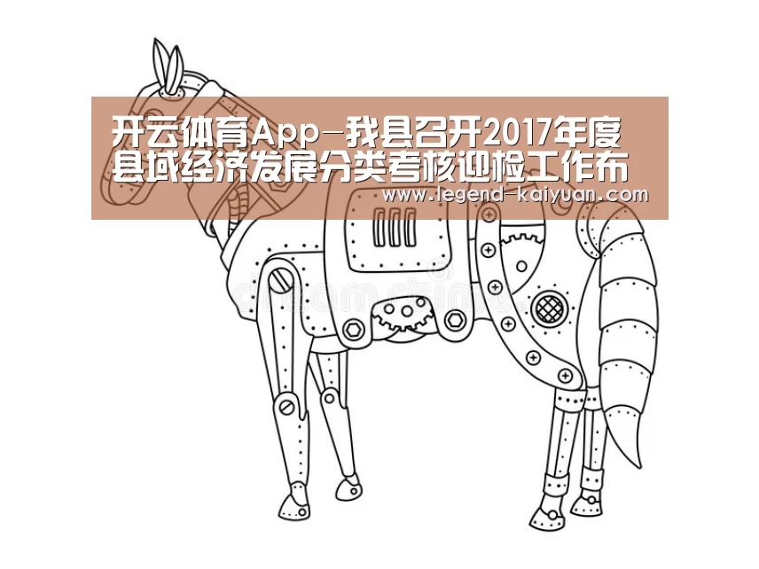 开云体育App-我县召开2017年度县域经济发展分类考核迎检工作布置会(图3) 开云体育官网