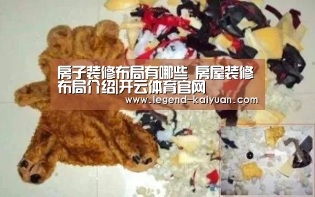 房子装修布局有哪些 房屋装修布局介绍|开云体育官网(图2) 开元体育