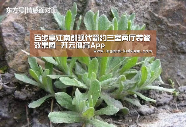 开云体育网站